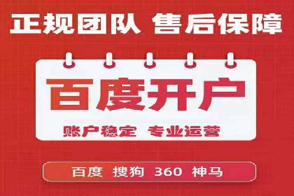 SEM运营公司成功案例解析