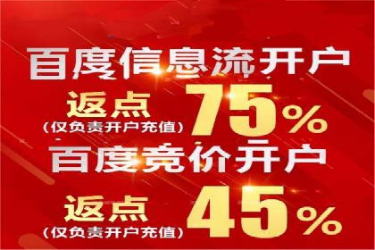 行业报告：专业SEM托管的成功实践与挑战